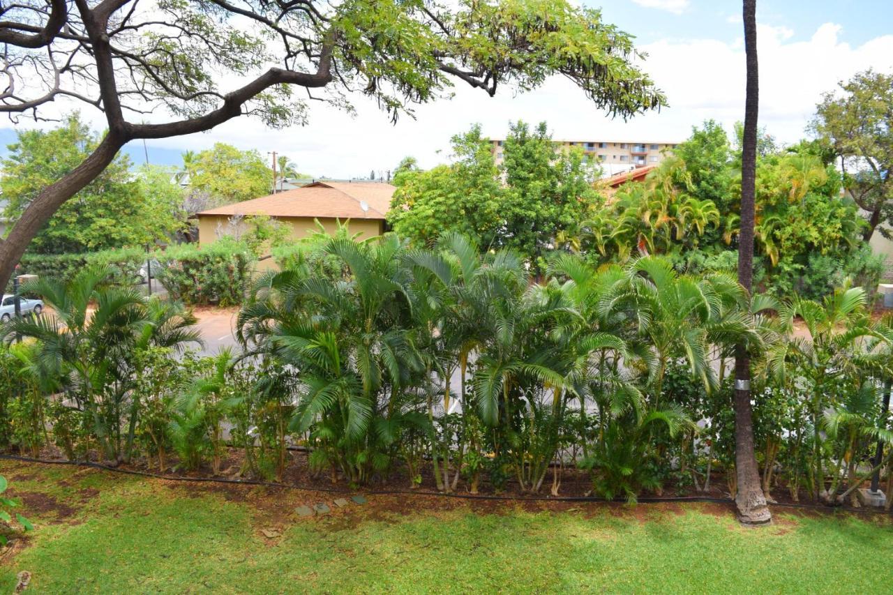 Beautiful Private Condo Walking Distance To Beach Mv2321 Kihei Exterior photo